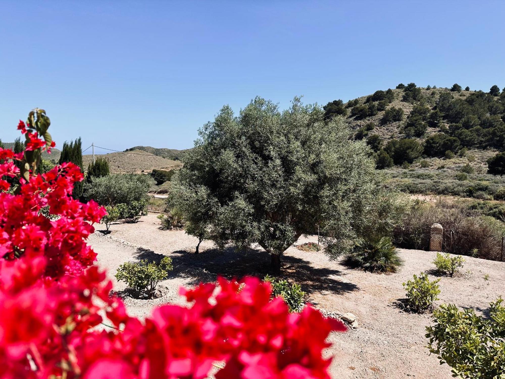 Finca Ocha - Calblanque ลอสเบโลเนส ภายนอก รูปภาพ