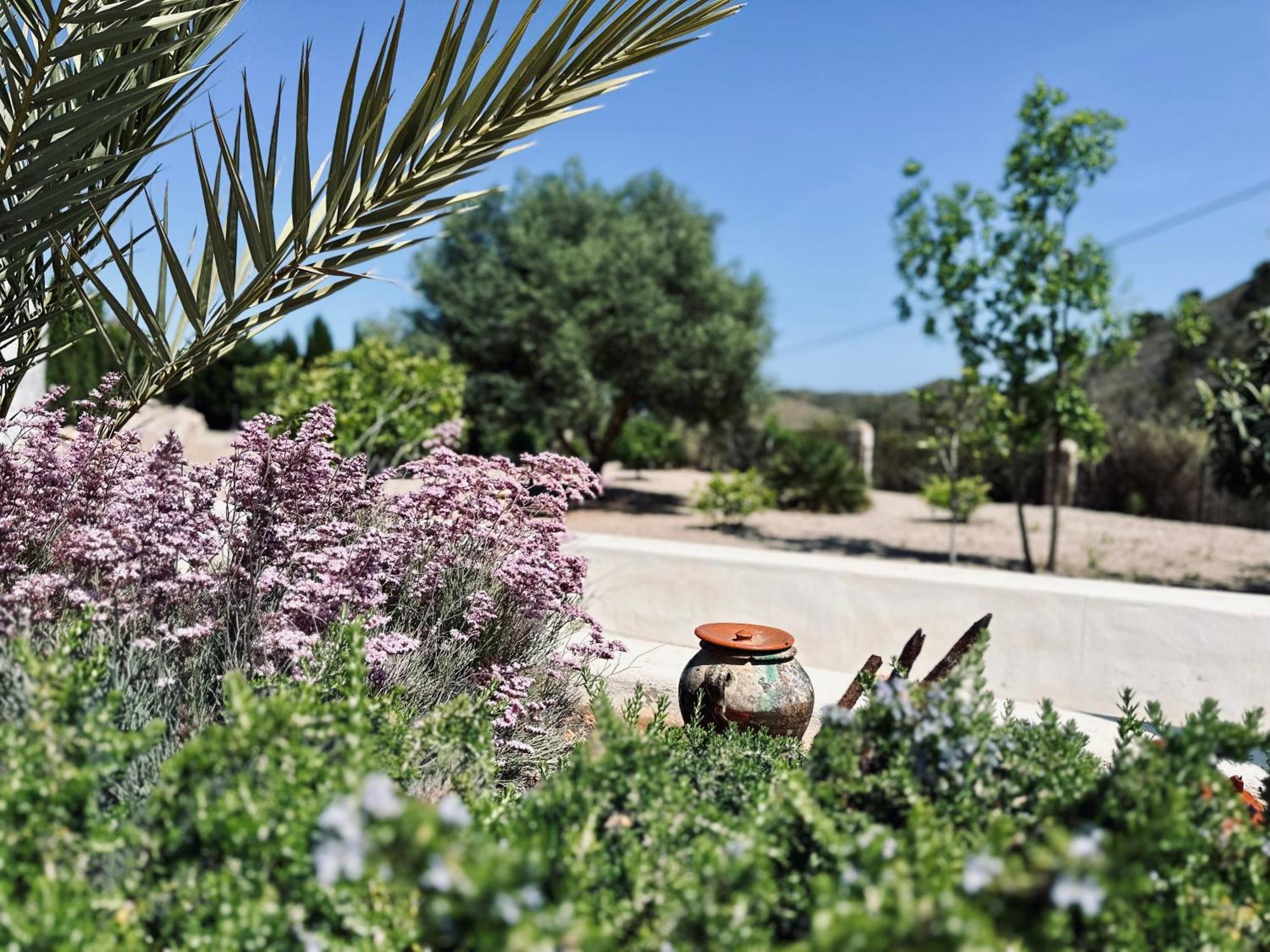 Finca Ocha - Calblanque ลอสเบโลเนส ภายนอก รูปภาพ