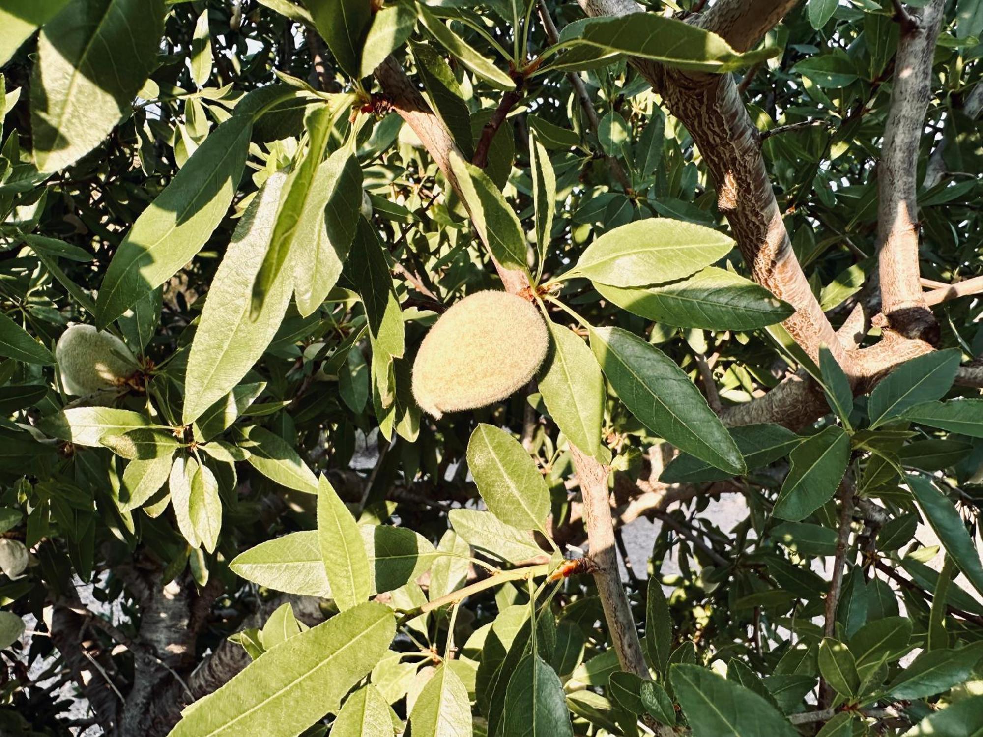 Finca Ocha - Calblanque ลอสเบโลเนส ภายนอก รูปภาพ