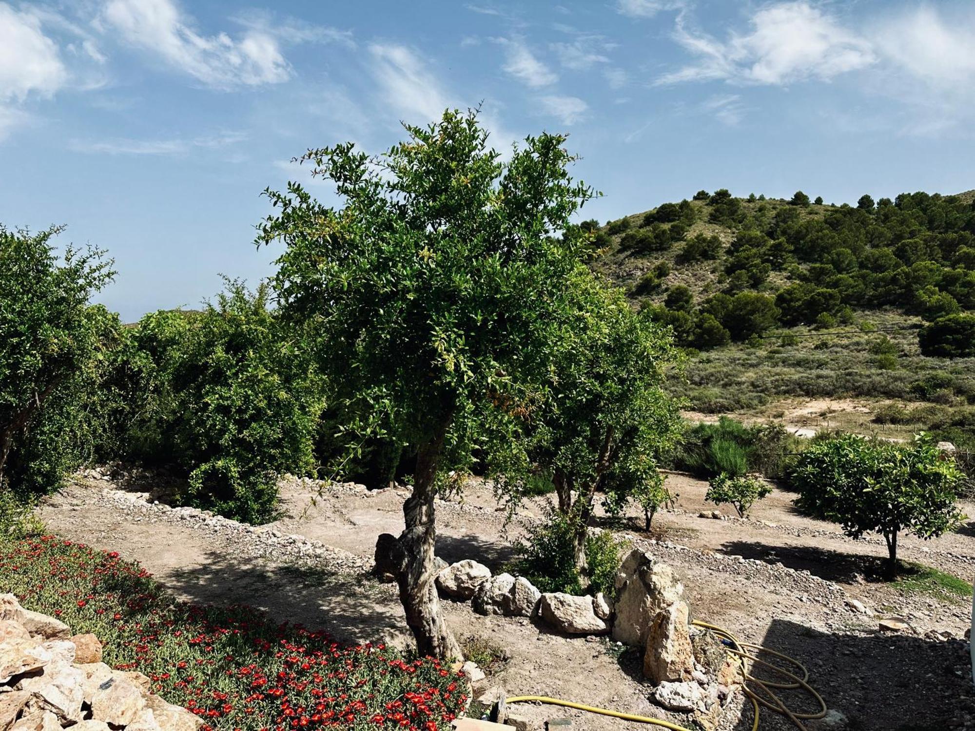 Finca Ocha - Calblanque ลอสเบโลเนส ภายนอก รูปภาพ