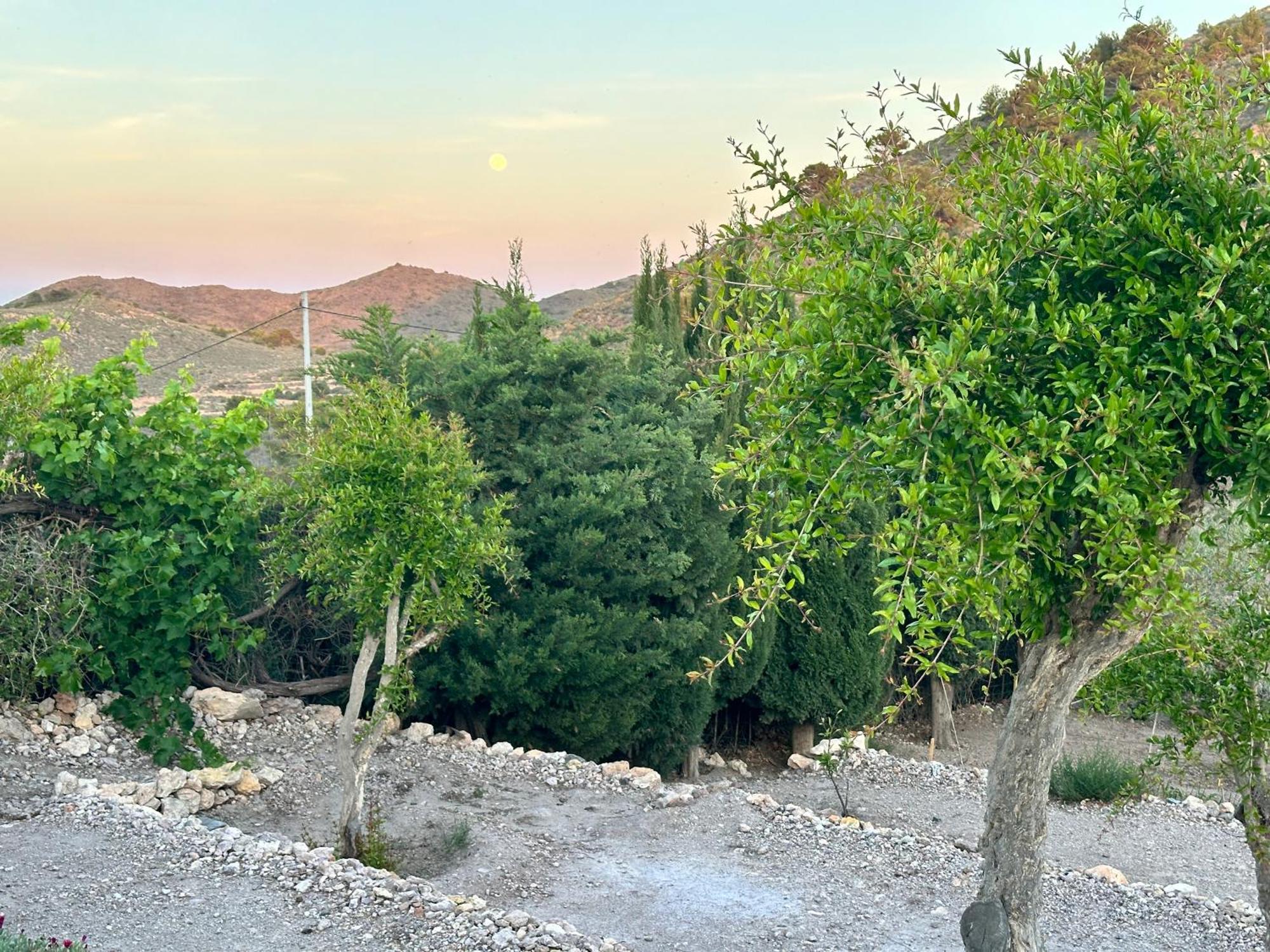 Finca Ocha - Calblanque ลอสเบโลเนส ภายนอก รูปภาพ
