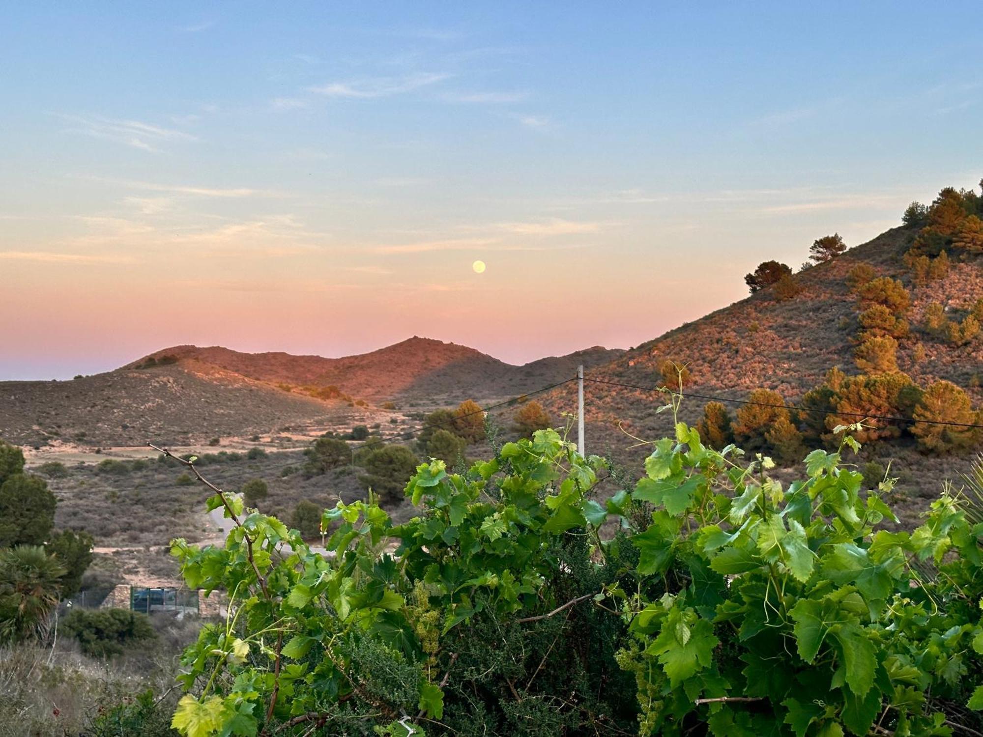 Finca Ocha - Calblanque ลอสเบโลเนส ภายนอก รูปภาพ