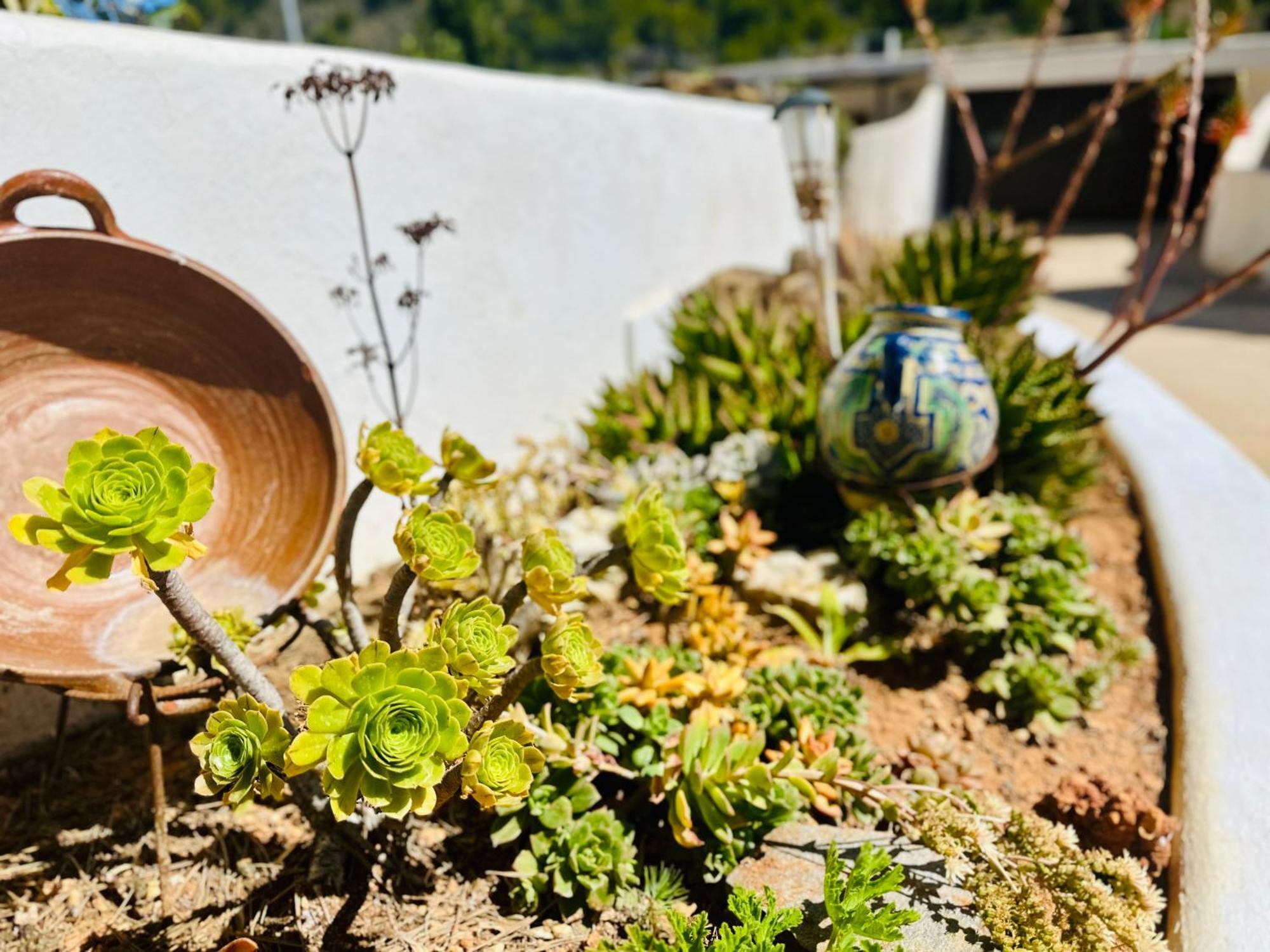 Finca Ocha - Calblanque ลอสเบโลเนส ภายนอก รูปภาพ