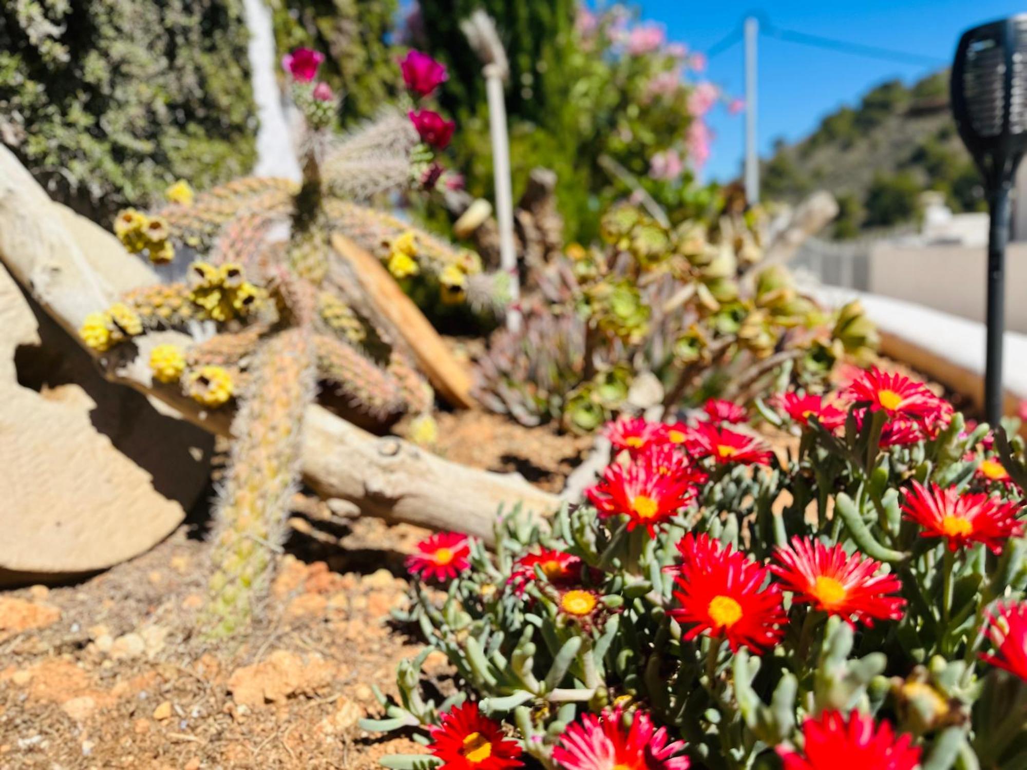 Finca Ocha - Calblanque ลอสเบโลเนส ภายนอก รูปภาพ