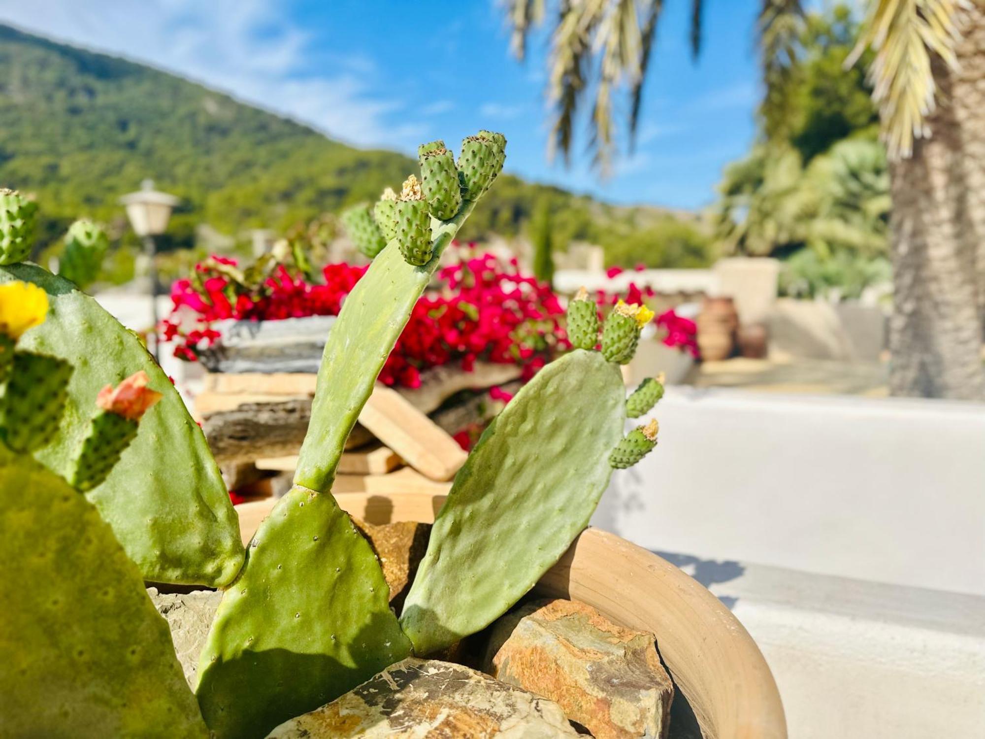 Finca Ocha - Calblanque ลอสเบโลเนส ภายนอก รูปภาพ