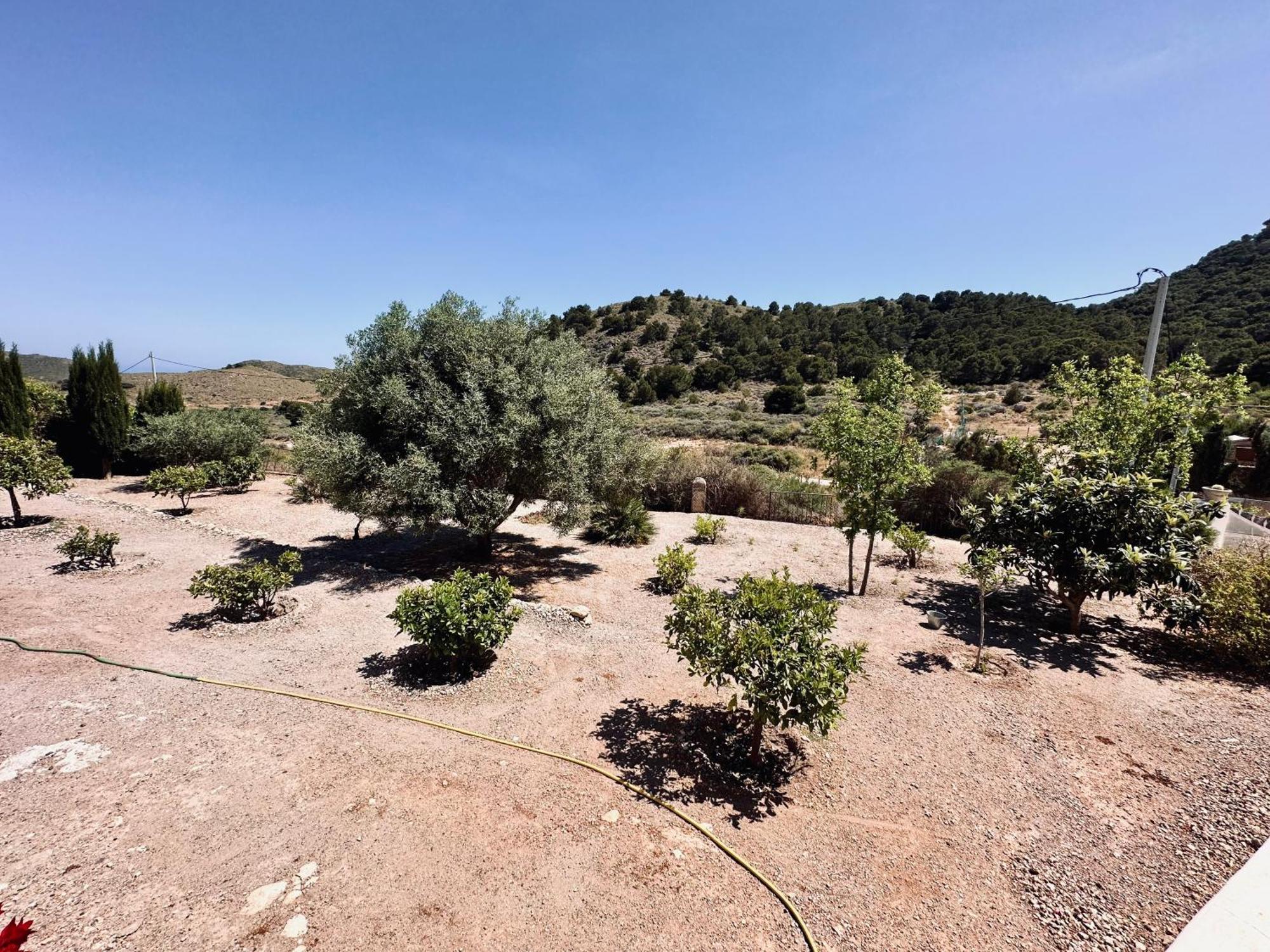 Finca Ocha - Calblanque ลอสเบโลเนส ภายนอก รูปภาพ