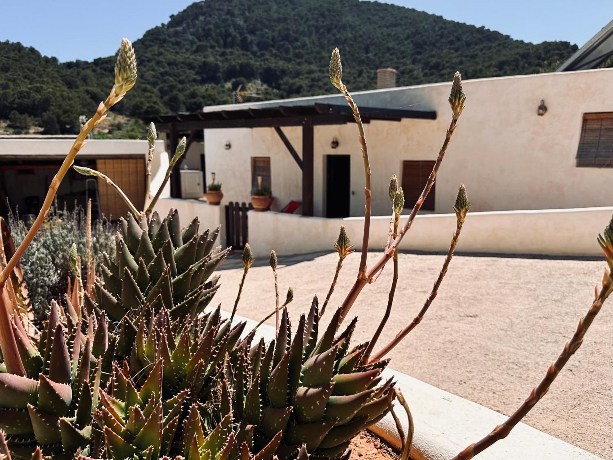 Finca Ocha - Calblanque ลอสเบโลเนส ภายนอก รูปภาพ
