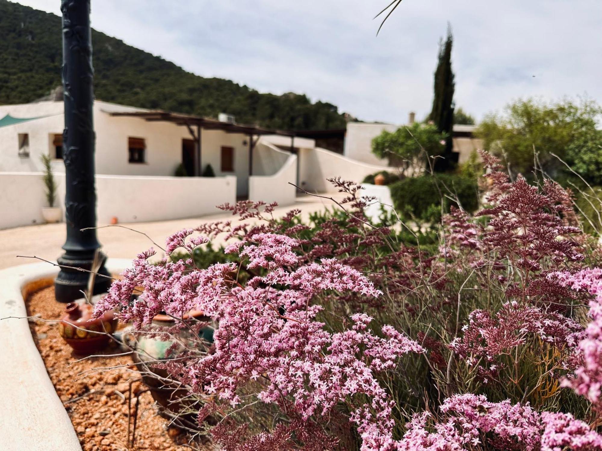 Finca Ocha - Calblanque ลอสเบโลเนส ภายนอก รูปภาพ